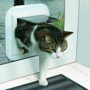 Cat flaps installed Chelmsford